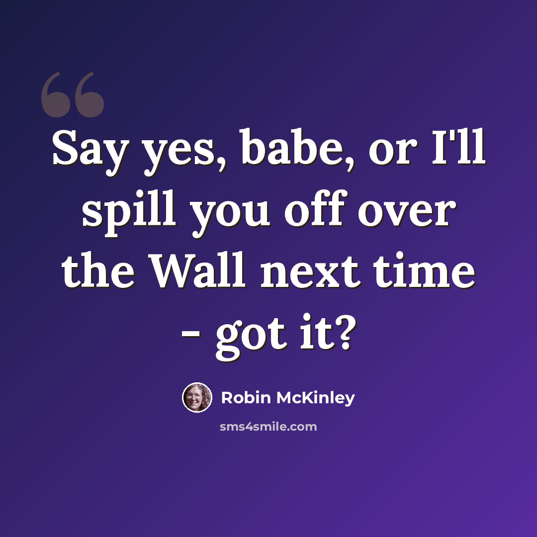 “Say yes, babe, or I'll spill you off over the Wall next time - got it?” quote by Robin McKinley