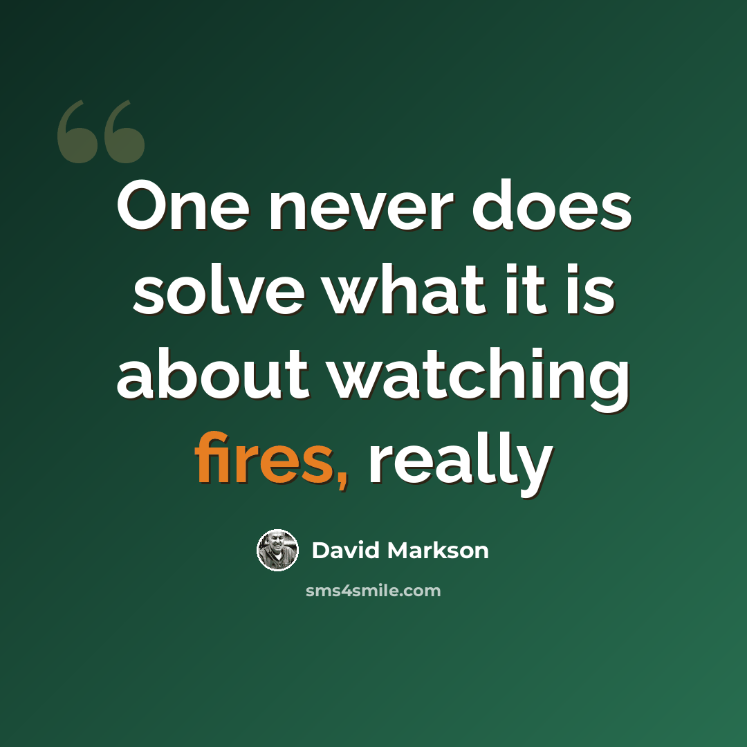 “One never does solve what it is about watching fires, really” quote by David Markson