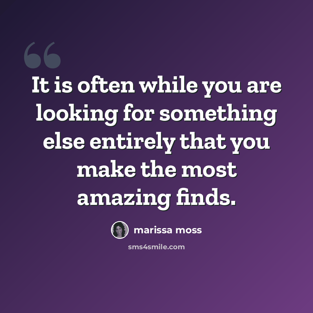 “It is often while you are looking for something else entirely that you make the most amazing finds.” quote by Marissa Moss
