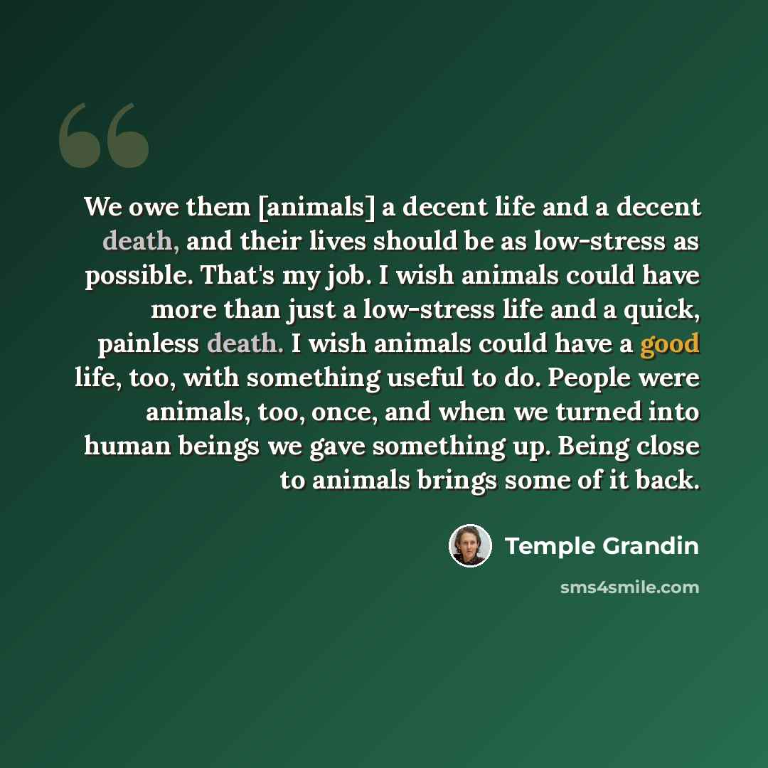 “We owe them [animals] a decent life and a decent death, and their lives should be as low-stress as possible. That's my job. I wish animals could have more than just a low-stress life and a quick, painless death. I wish animals could have a good life, too, with something useful to do. People were…” quote by Temple Grandin