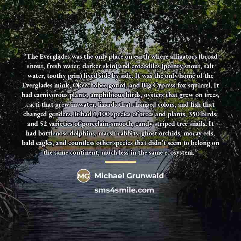 “The Everglades was the only place on earth where alligators (broad snout, fresh water, darker skin) and crocodiles (pointy snout, salt water, toothy grin) lived side by side. It was the only home of the Everglades mink, Okeechobee gourd, and Big Cypress fox squirrel. It had carnivorous plants…” quote by Michael Grunwald