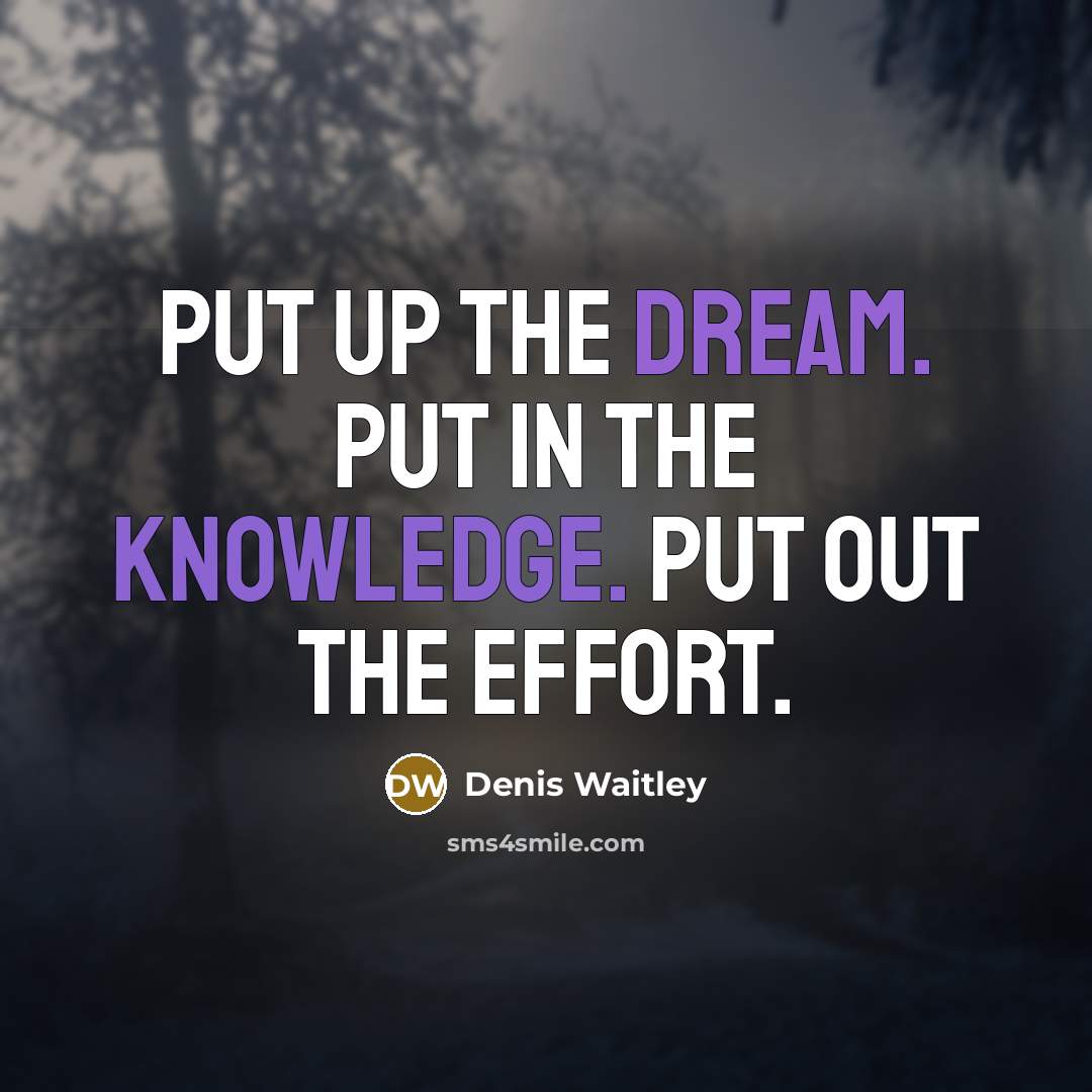 “Put up the dream. Put in the knowledge. Put out the effort.” quote by Denis Waitley