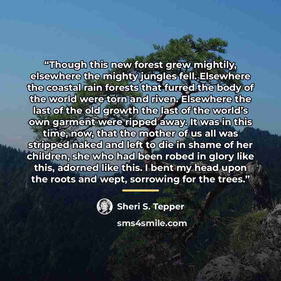 “Though this new forest grew mightily, elsewhere the mighty jungles fell. Elsewhere the coastal rain forests that furred the body of the world were torn and riven. Elsewhere the last of the old growth the last of the world’s own garment were ripped away. It was in this time, now, that the mother of…” quote by Sheri S. Tepper