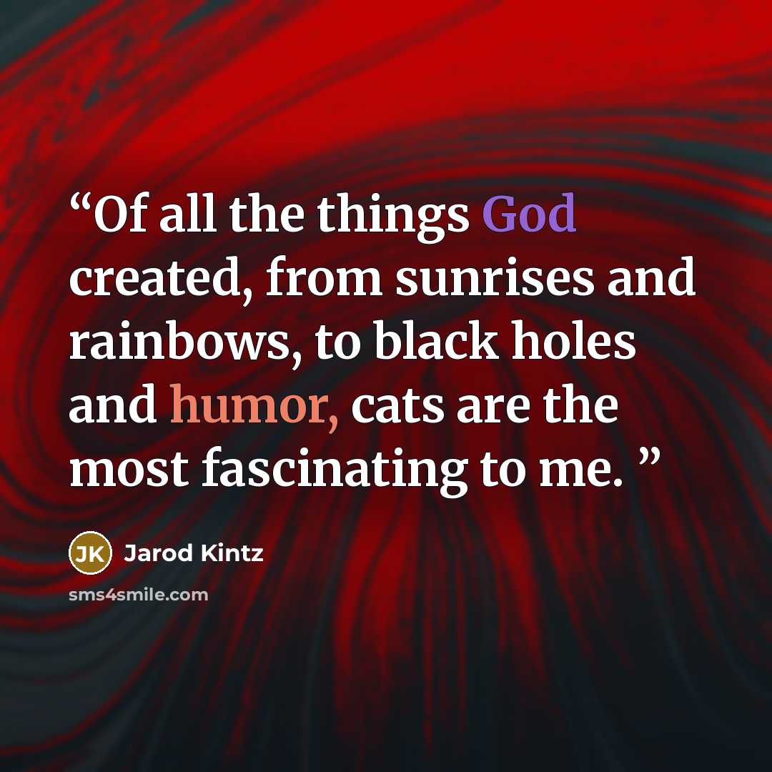 “Of all the things God created, from sunrises and rainbows, to black holes and humor, cats are the most fascinating to me.” quote by Jarod Kintz