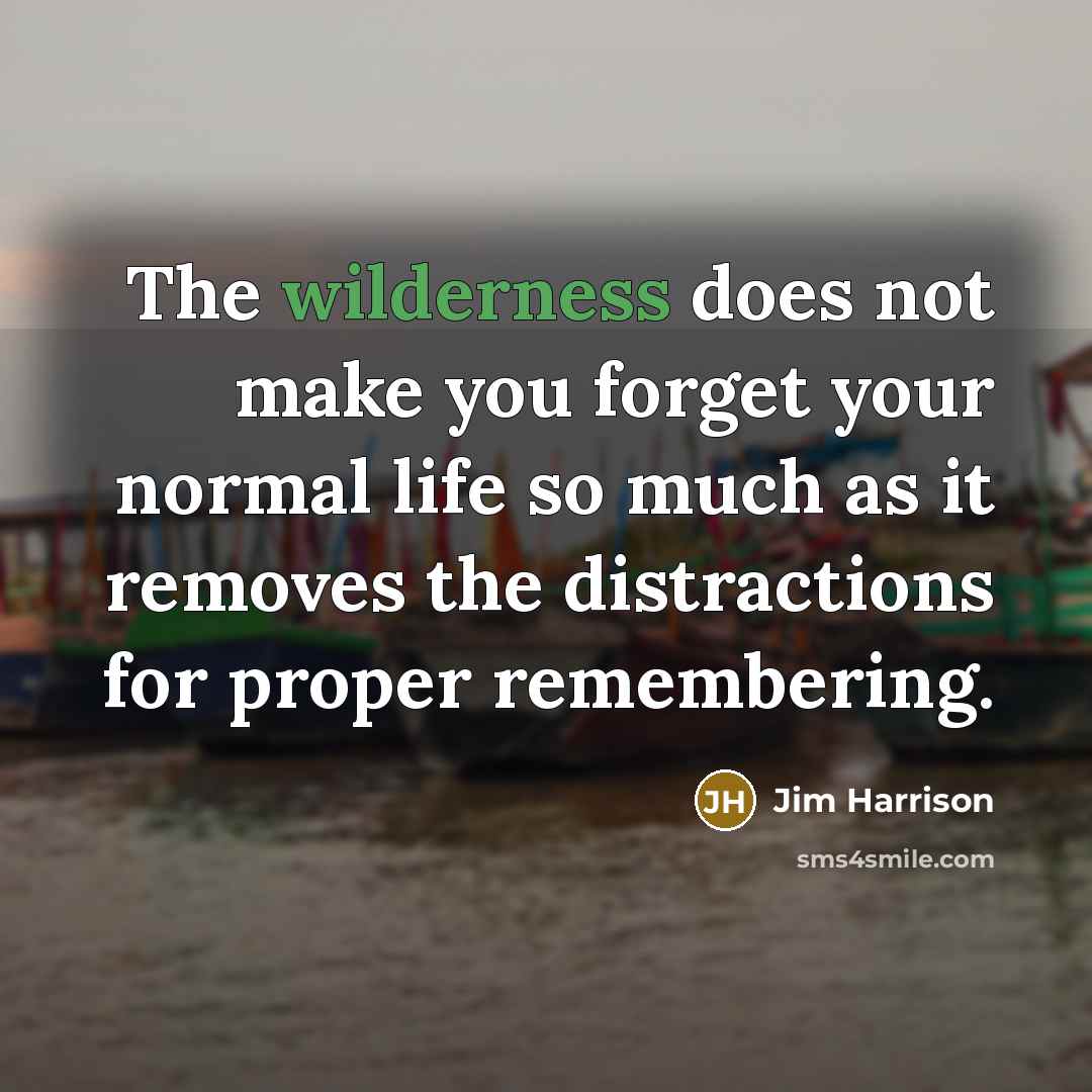 “The wilderness does not make you forget your normal life so much as it removes the distractions for proper remembering.” quote by Jim Harrison