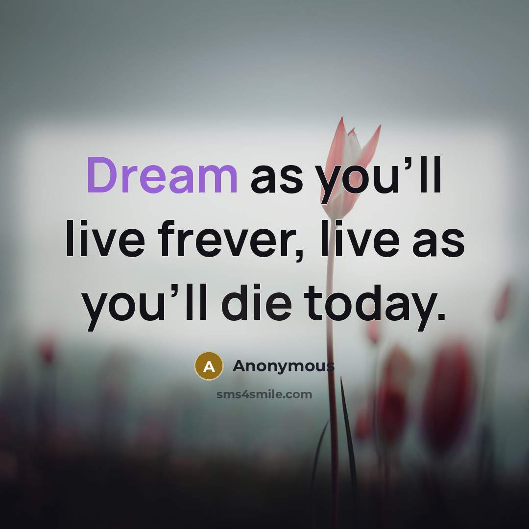 “Dream as you'll live frever, live as you'll die today.” quote by Anonymous