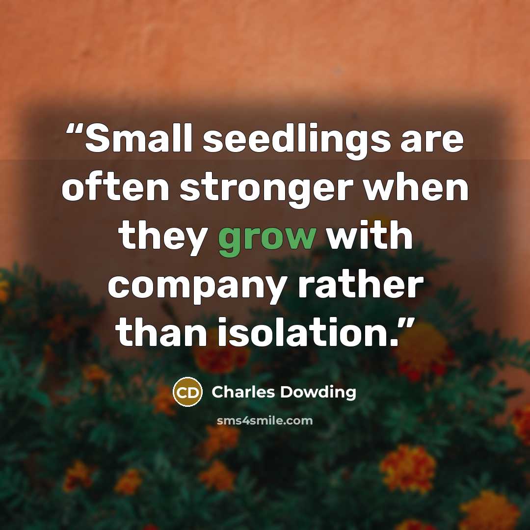 “Small seedlings are often stronger when they grow with company rather than isolation.” quote by Charles Dowding