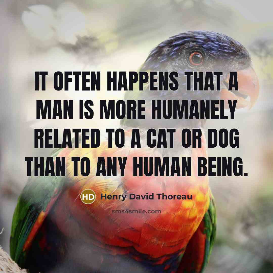 “It often happens that a man is more humanely related to a cat or dog than to any human being.” quote by Henry David Thoreau