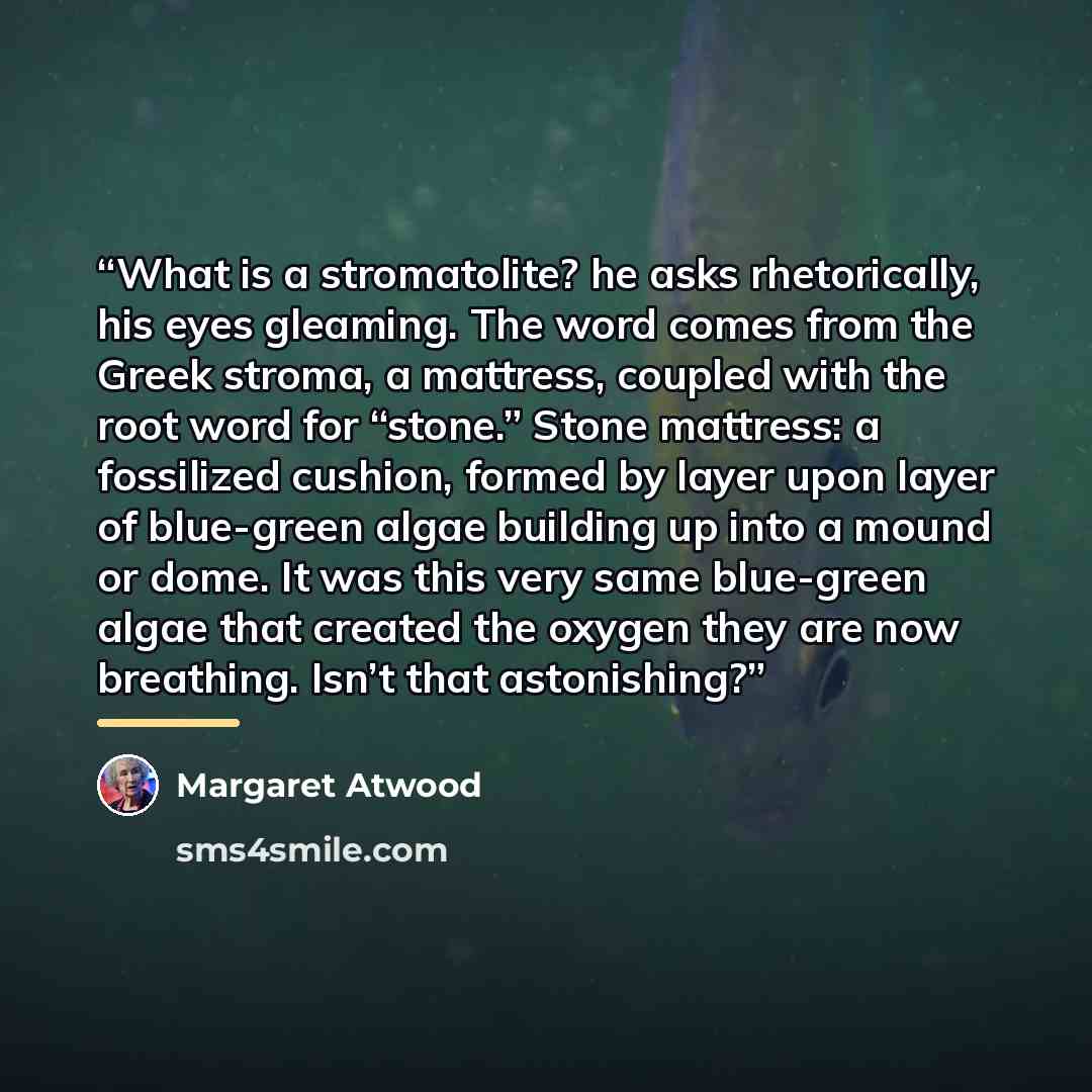 “What is a stromatolite? he asks rhetorically, his eyes gleaming. The word comes from the Greek stroma, a mattress, coupled with the root word for “stone.” Stone mattress: a fossilized cushion, formed by layer upon layer of blue-green algae building up into a mound or dome. It was this very same…” quote by Margaret Atwood