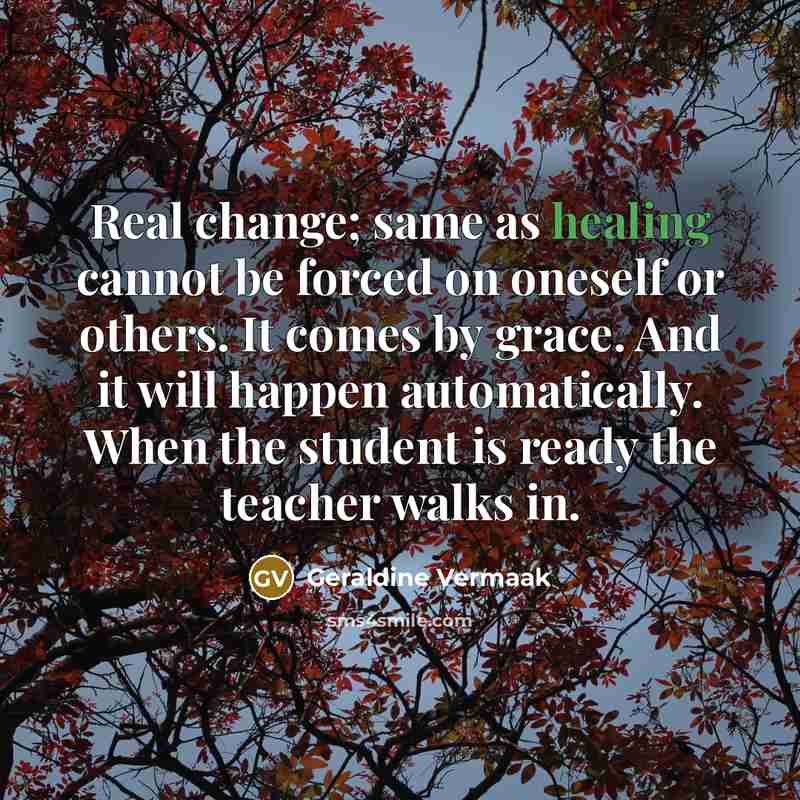“Real change; same as healing cannot be forced on oneself or others. It comes by grace. And it will happen automatically. When the student is ready the teacher walks in.” quote by Geraldine Vermaak