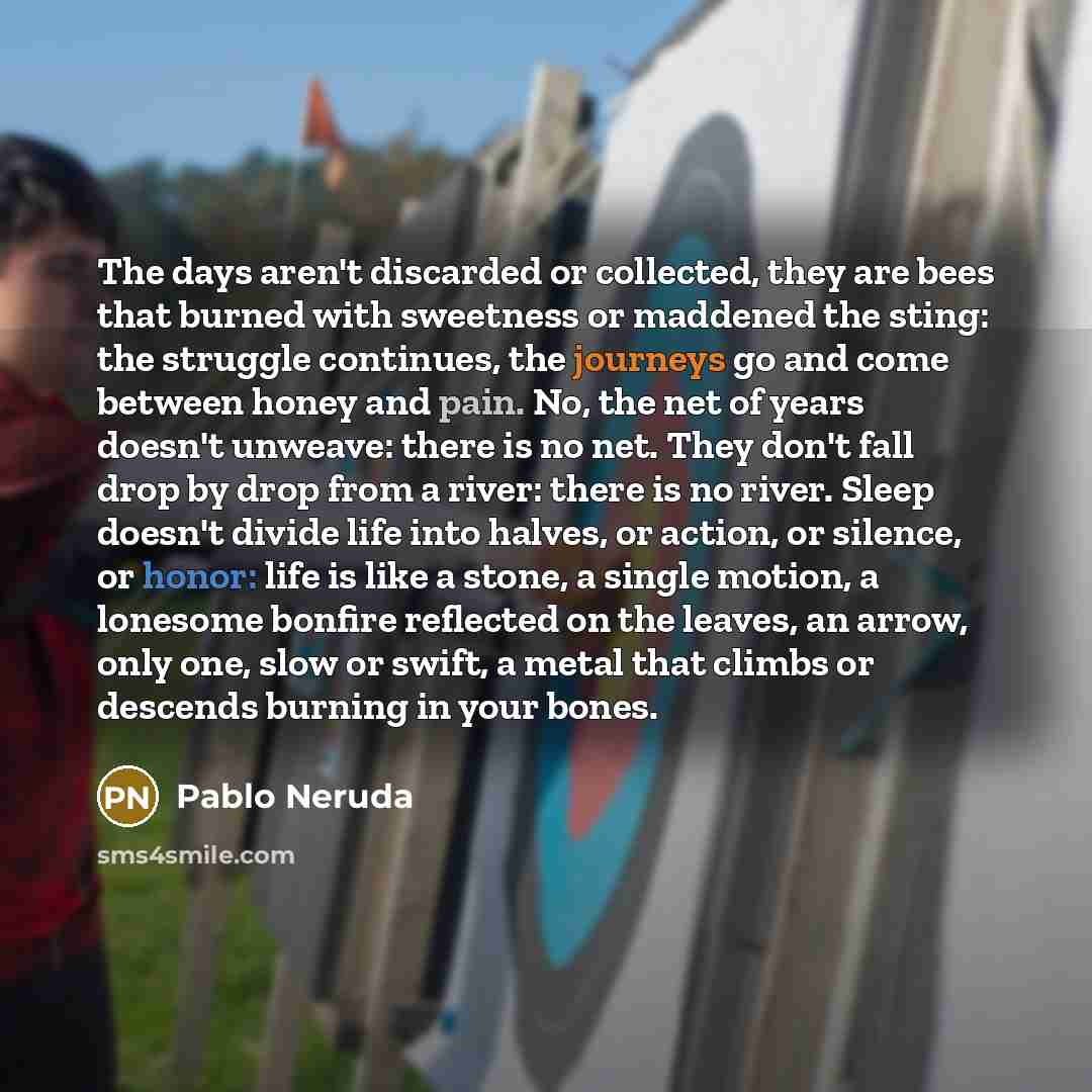 “The days aren't discarded or collected, they are bees that burned with sweetness or maddened the sting: the struggle continues, the journeys go and come between honey and pain. No, the net of years doesn't unweave: there is no net. They don't fall drop by drop from a river: there is no river…” quote by Pablo Neruda