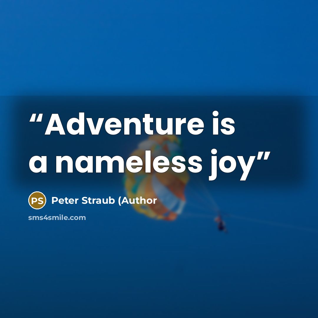 “Adventure is a nameless joy” quote by Peter Straub (Author