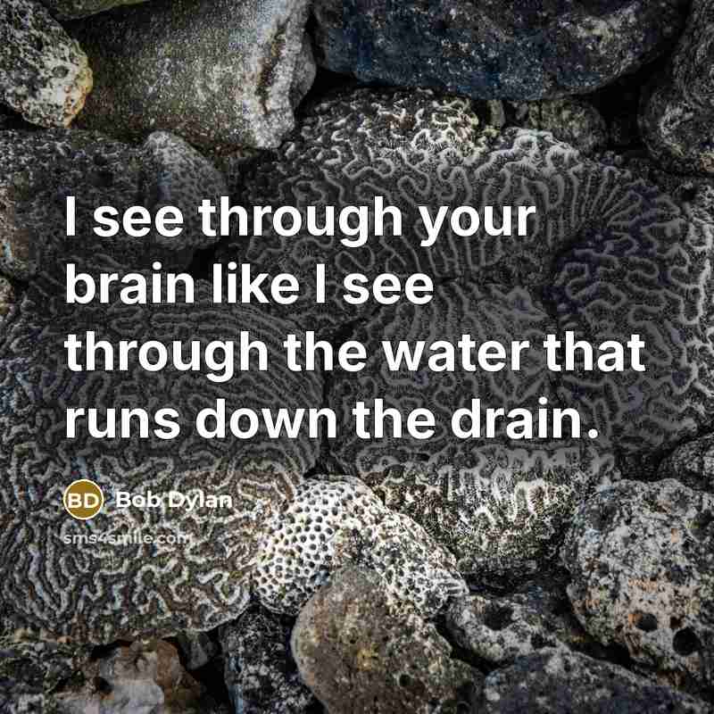 “I see through your brain like I see through the water that runs down the drain.” quote by Bob Dylan