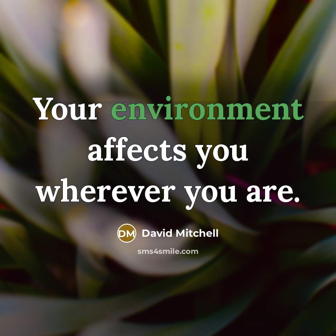 “Your environment affects you wherever you are.” quote by David Mitchell