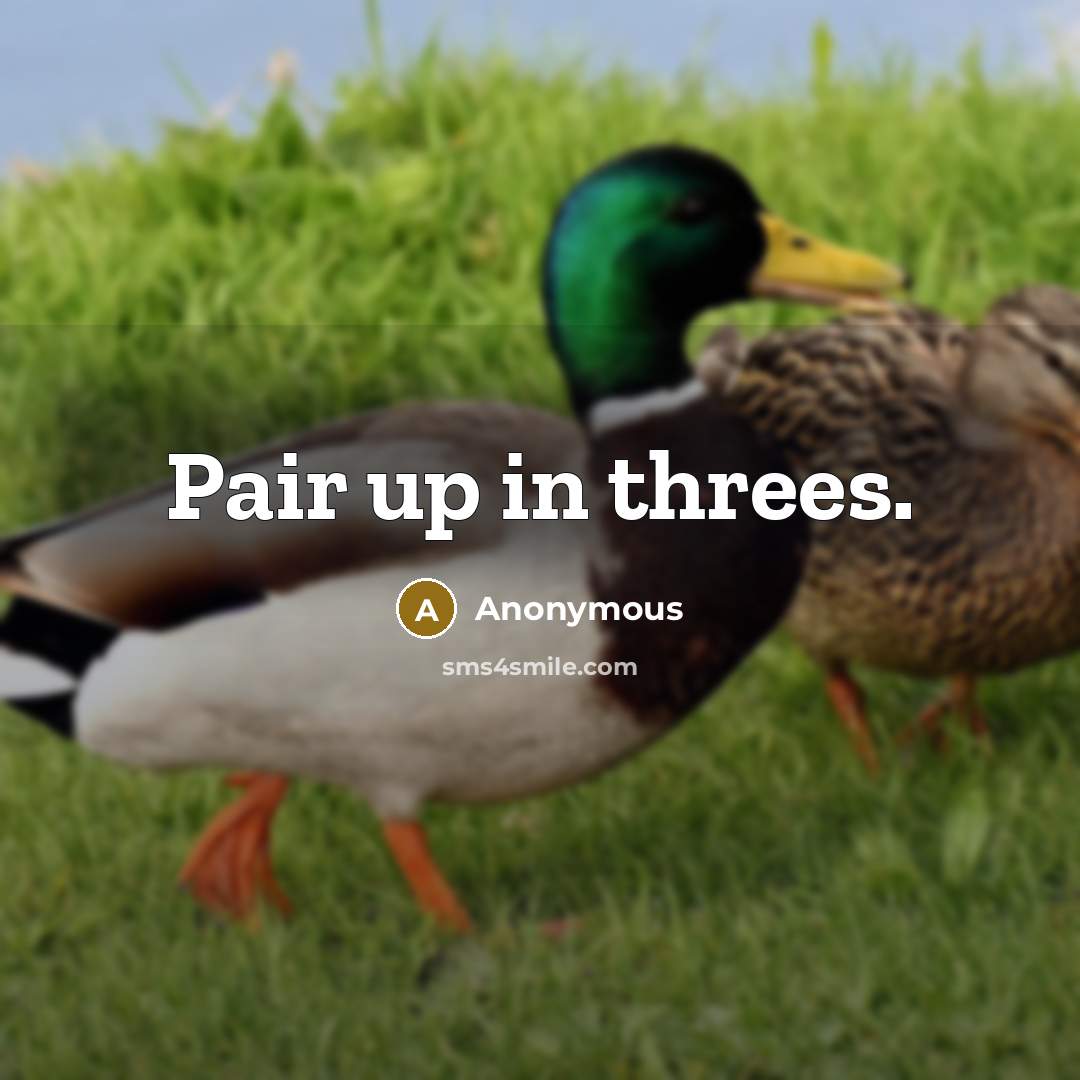 “Pair up in threes.” quote by Anonymous
