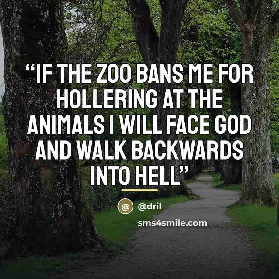 “IF THE ZOO BANS ME FOR HOLLERING AT THE ANIMALS I WILL FACE GOD AND WALK BACKWARDS INTO HELL” quote by Dril