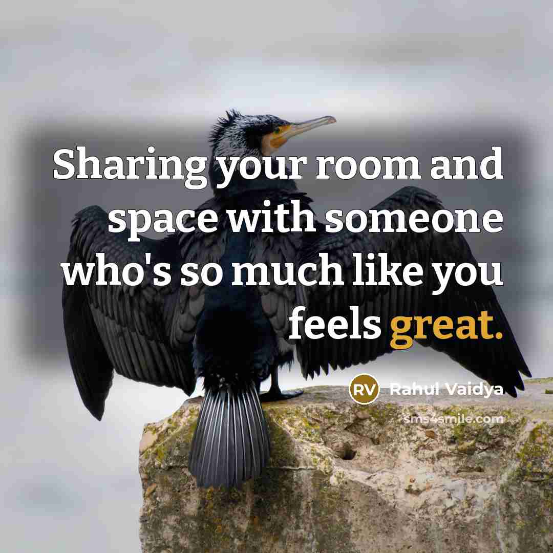 “Sharing your room and space with someone who's so much like you feels great.” quote by Rahul Vaidya
