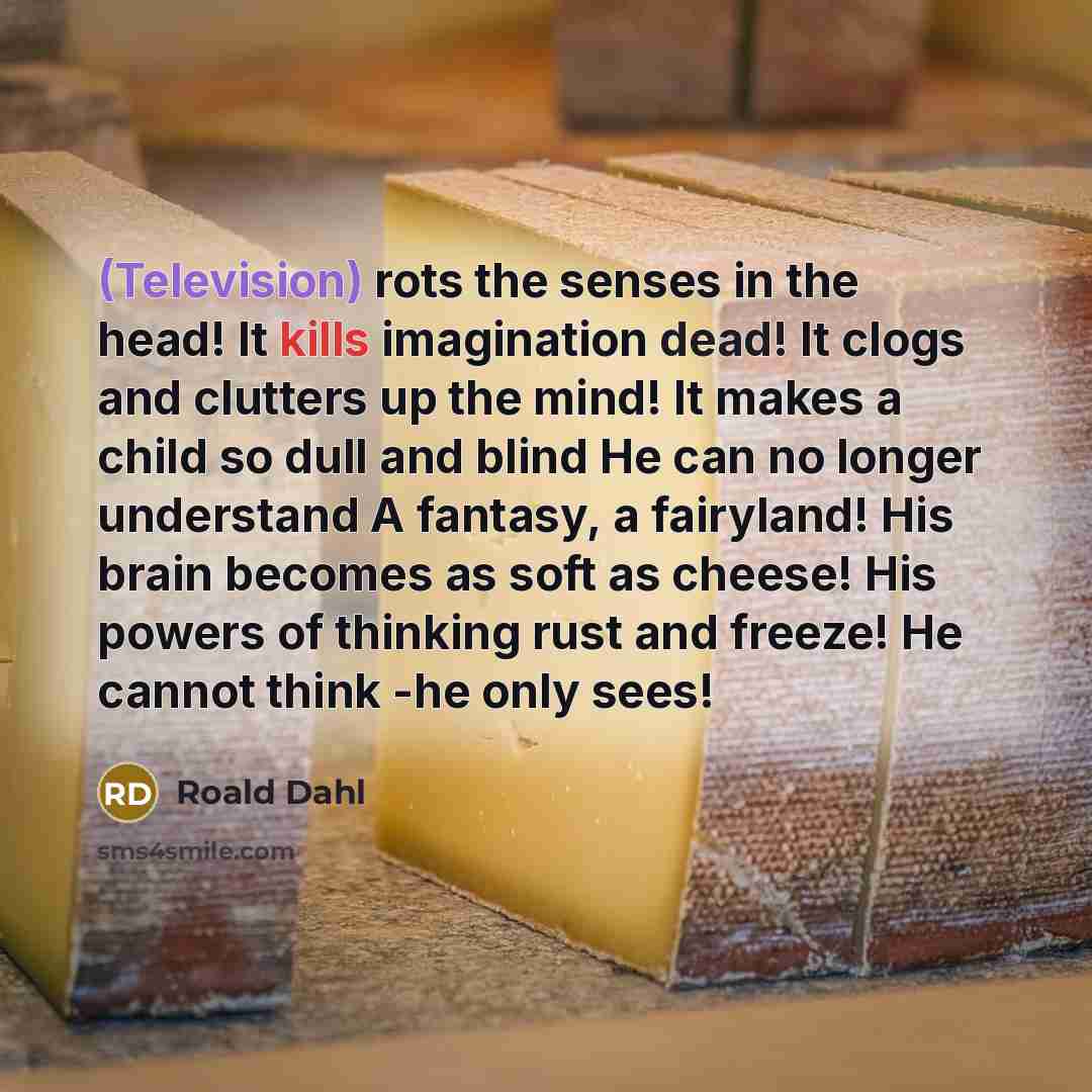 “(Television) rots the senses in the head! It kills imagination dead! It clogs and clutters up the mind! It makes a child so dull and blind He can no longer understand A fantasy, a fairyland! His brain becomes as soft as cheese! His powers of thinking rust and freeze! He cannot think -he only sees!” quote by Roald Dahl