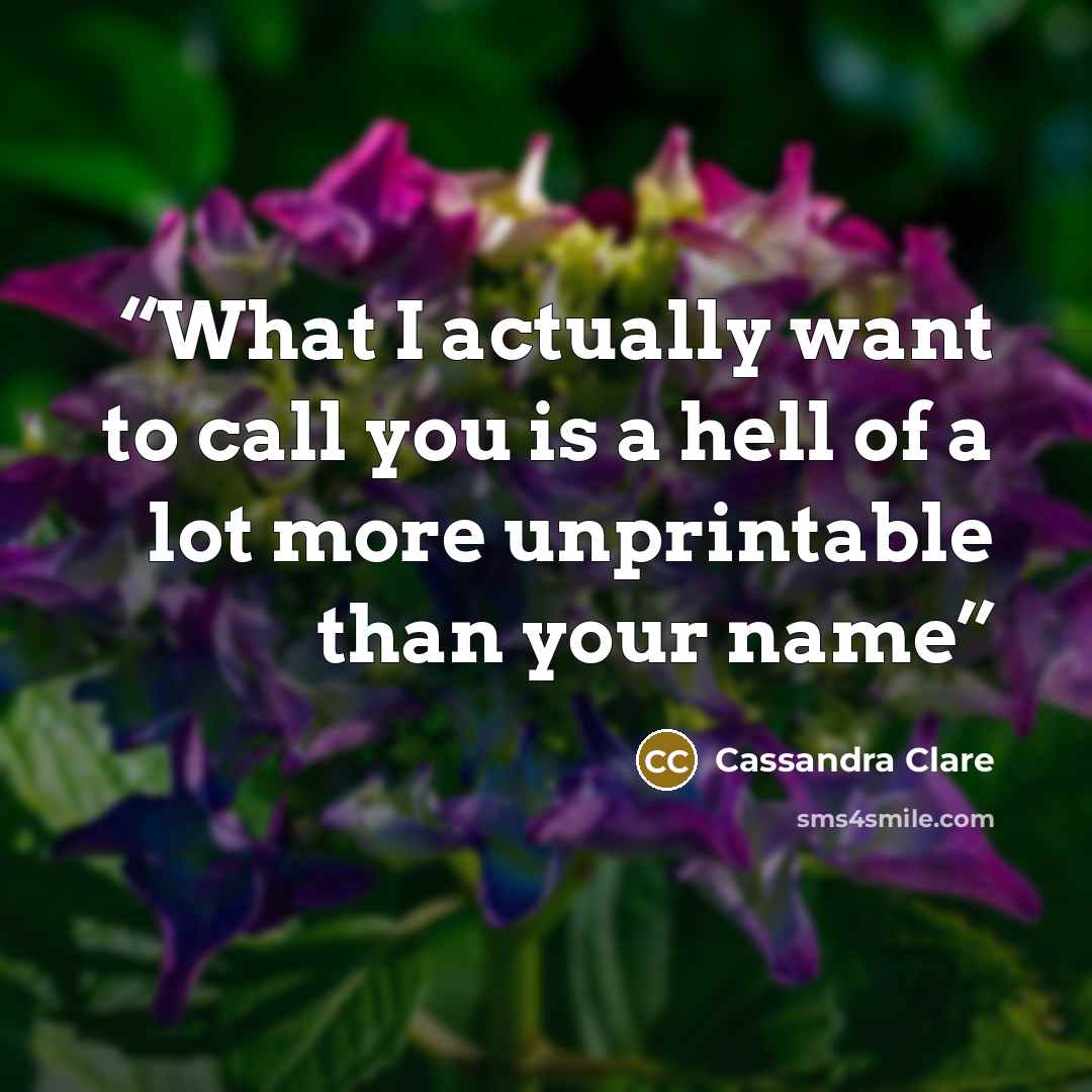 “What I actually want to call you is a hell of a lot more unprintable than your name” quote by Cassandra Clare