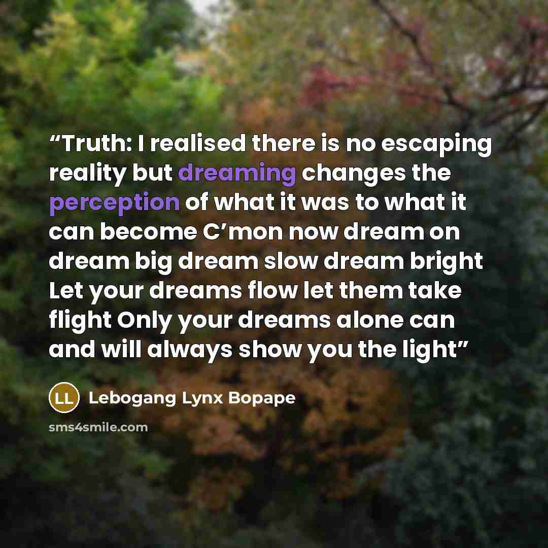 “Truth: I realised there is no escaping reality but dreaming changes the perception of what it was to what it can become C’mon now dream on dream big dream slow dream bright Let your dreams flow let them take flight Only your dreams alone can and will always show you the light” quote by Lebogang Lynx Bopape