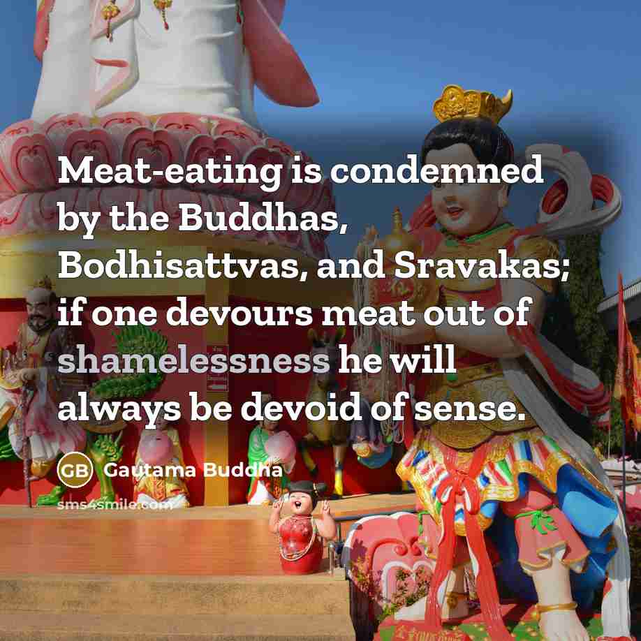 “Meat-eating is condemned by the Buddhas, Bodhisattvas, and Sravakas; if one devours meat out of shamelessness he will always be devoid of sense.” quote by Gautama Buddha