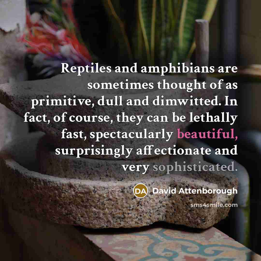 “Reptiles and amphibians are sometimes thought of as primitive, dull and dimwitted. In fact, of course, they can be lethally fast, spectacularly beautiful, surprisingly affectionate and very sophisticated.” quote by David Attenborough