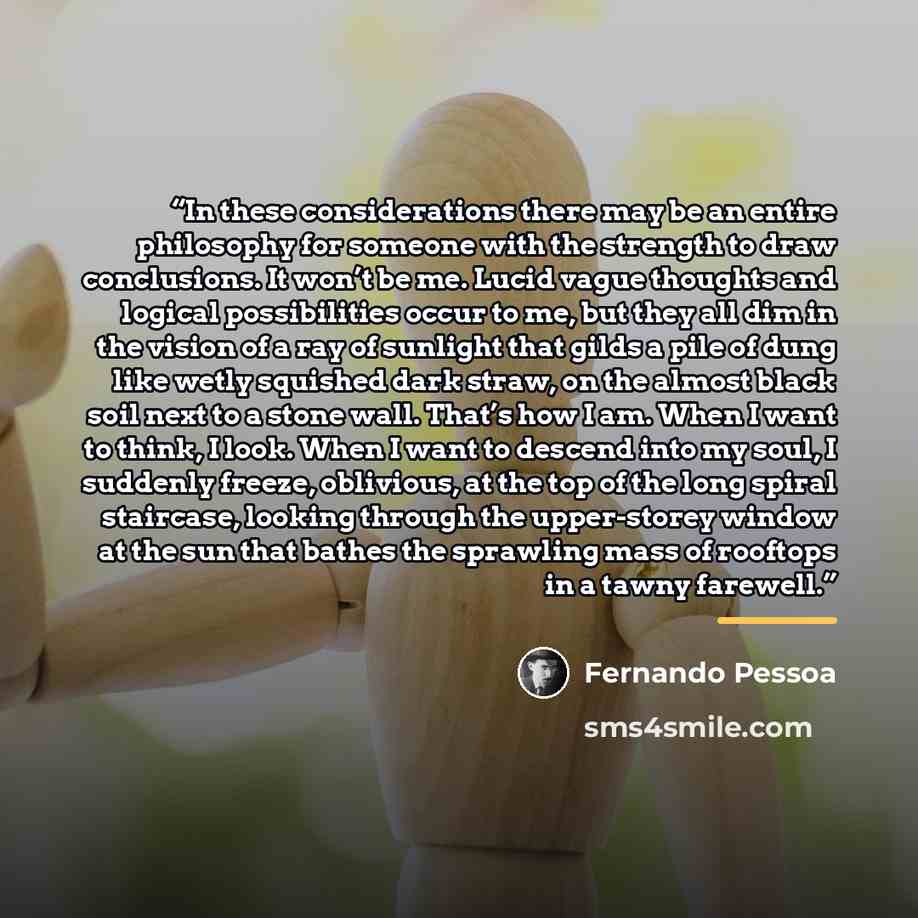 “In these considerations there may be an entire philosophy for someone with the strength to draw conclusions. It won’t be me. Lucid vague thoughts and logical possibilities occur to me, but they all dim in the vision of a ray of sunlight that gilds a pile of dung like wetly squished dark straw, on…” quote by Fernando Pessoa