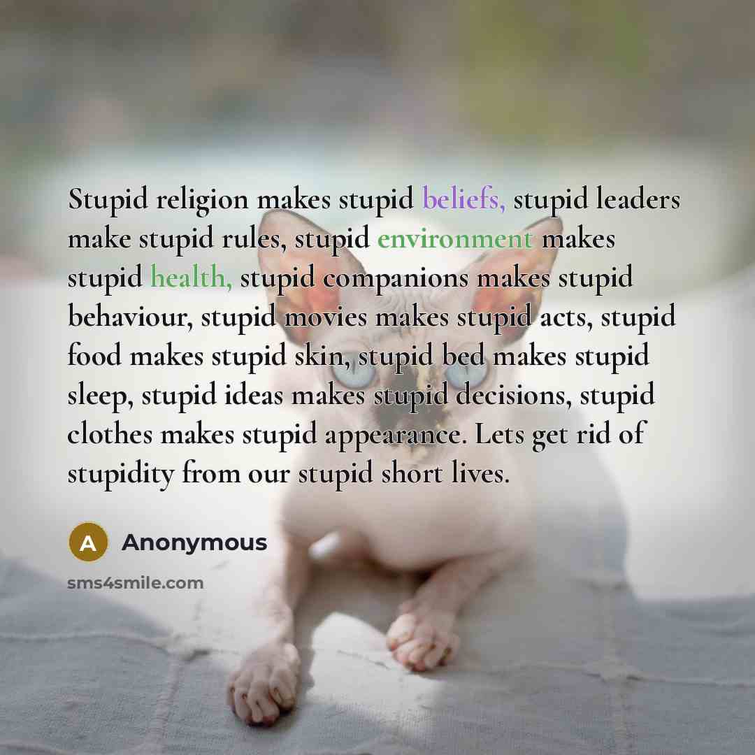 “Stupid religion makes stupid beliefs, stupid leaders make stupid rules, stupid environment makes stupid health, stupid companions makes stupid behaviour, stupid movies makes stupid acts, stupid food makes stupid skin, stupid bed makes stupid sleep, stupid ideas makes stupid decisions, stupid…” quote by Anonymous
