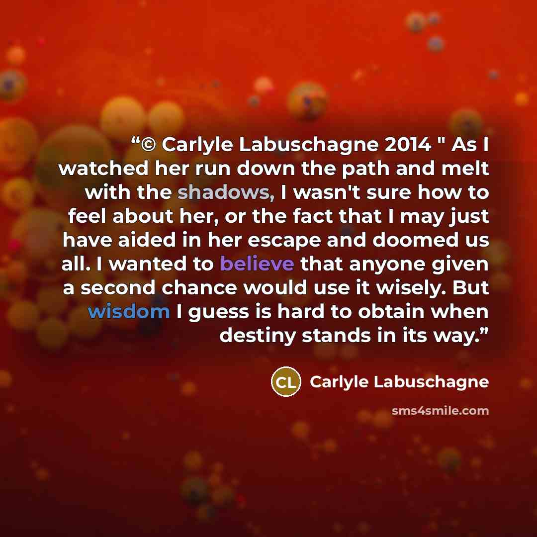 “© Carlyle Labuschagne 2014 " As I watched her run down the path and melt with the shadows, I wasn't sure how to feel about her, or the fact that I may just have aided in her escape and doomed us all. I wanted to believe that anyone given a second chance would use it wisely. But wisdom I guess is…” quote by Carlyle Labuschagne