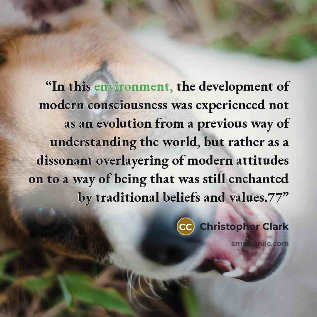“In this environment, the development of modern consciousness was experienced not as an evolution from a previous way of understanding the world, but rather as a dissonant overlayering of modern attitudes on to a way of being that was still enchanted by traditional beliefs and values.77” quote by Christopher Clark