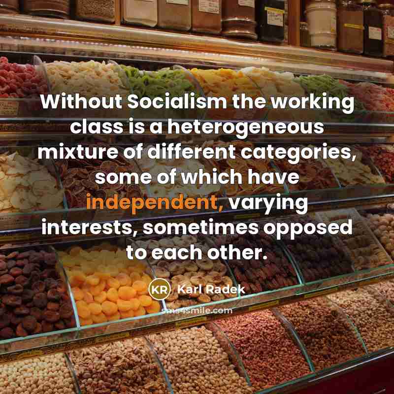 “Without Socialism the working class is a heterogeneous mixture of different categories, some of which have independent, varying interests, sometimes opposed to each other.” quote by Karl Radek