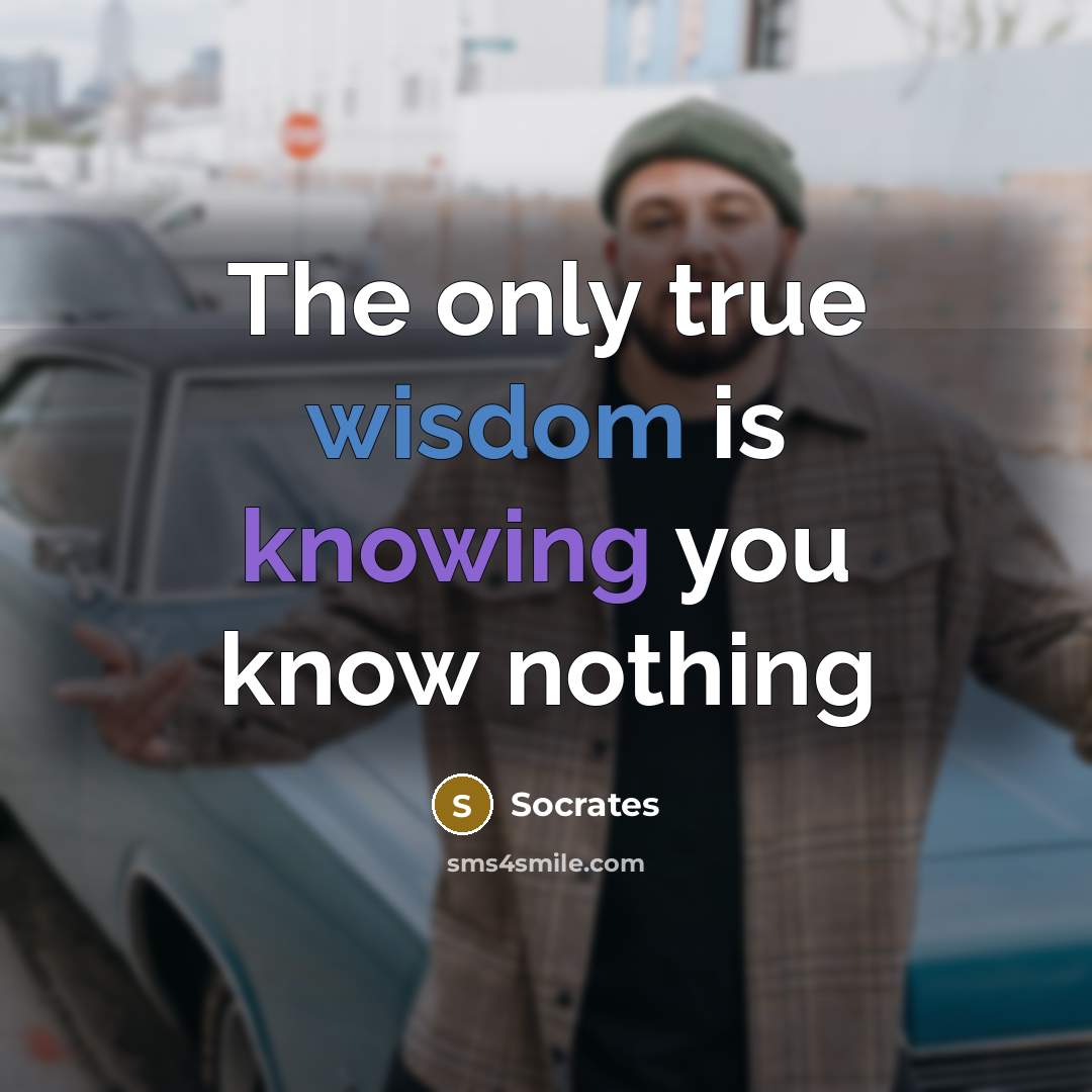 “The only true wisdom is knowing you know nothing” quote by Socrates