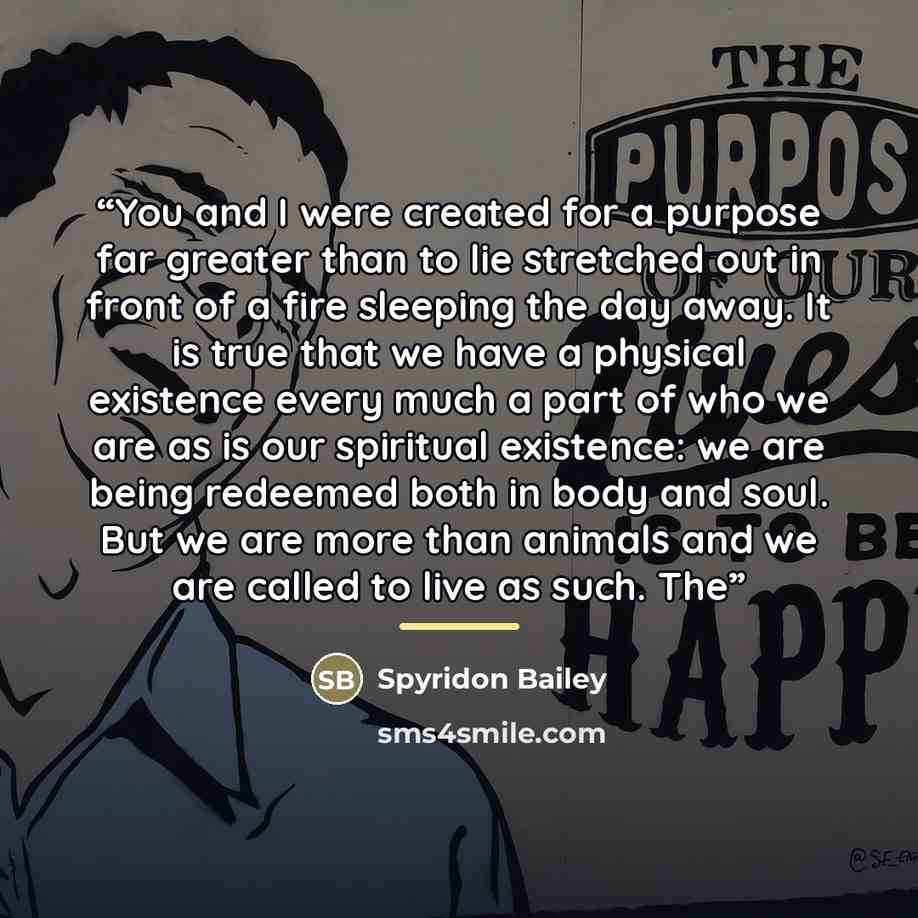 “You and I were created for a purpose far greater than to lie stretched out in front of a fire sleeping the day away. It is true that we have a physical existence every much a part of who we are as is our spiritual existence: we are being redeemed both in body and soul. But we are more than animals…” quote by Spyridon Bailey