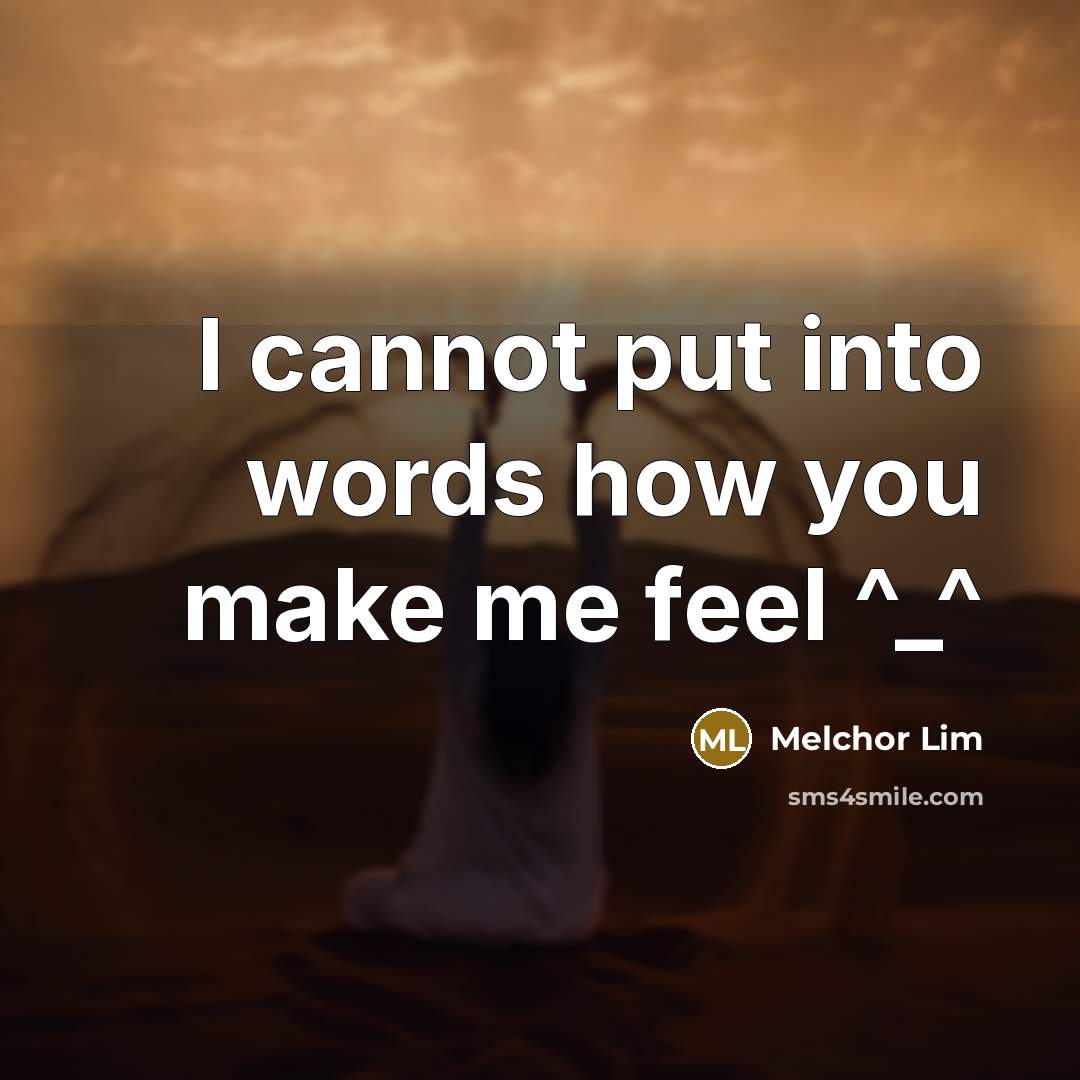 “I cannot put into words how you make me feel ^_^” quote by Melchor Lim