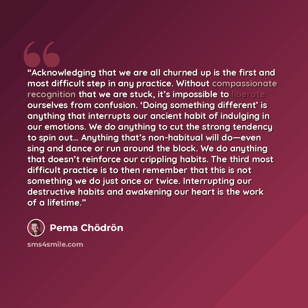 “Acknowledging that we are all churned up is the first and most difficult step in any practice. Without compassionate recognition that we are stuck, it’s impossible to liberate ourselves from confusion. ‘Doing something different’ is anything that interrupts our ancient habit of indulging in our…” quote by Pema Chodron
