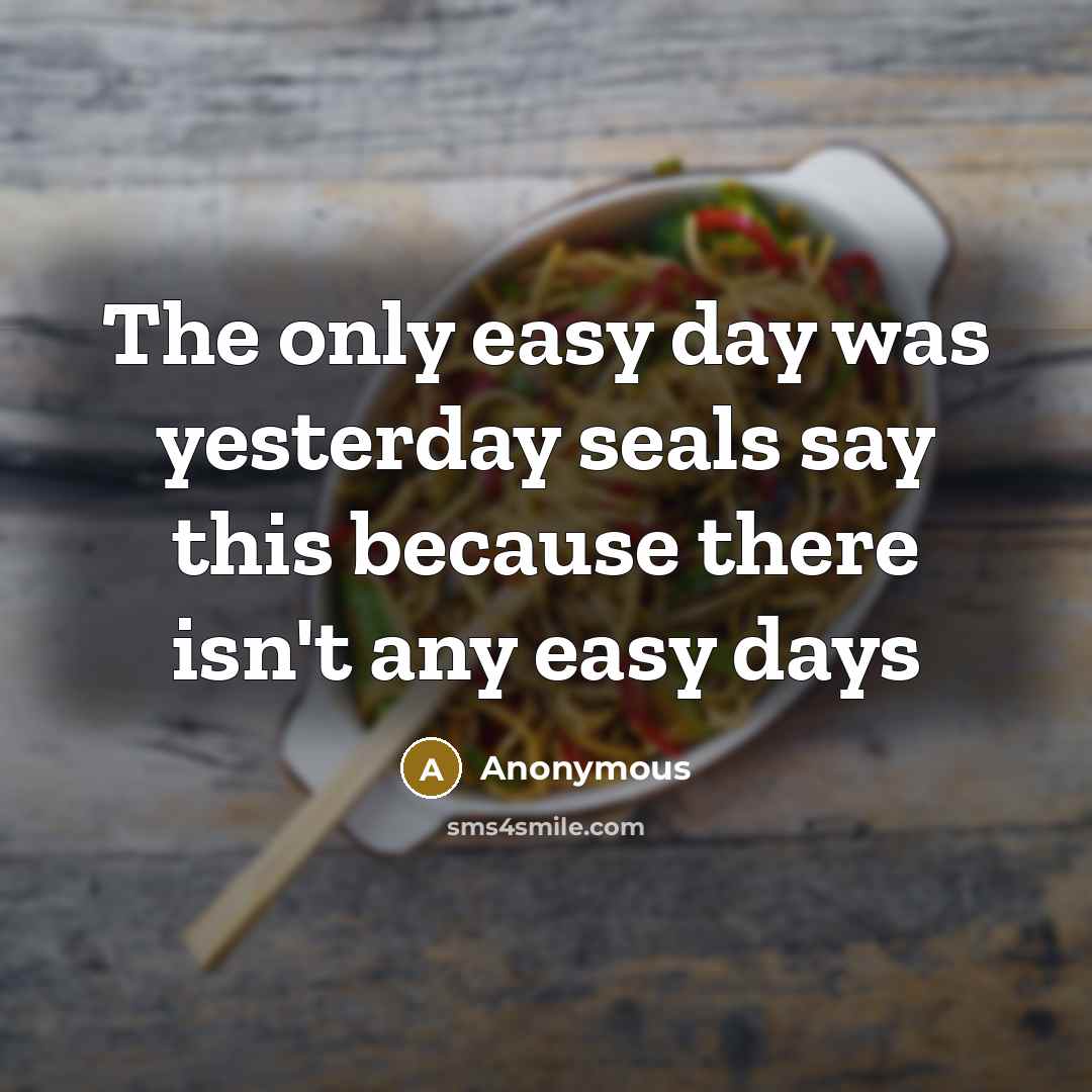 “The only easy day was yesterday seals say this because there isn't any easy days” quote by Anonymous