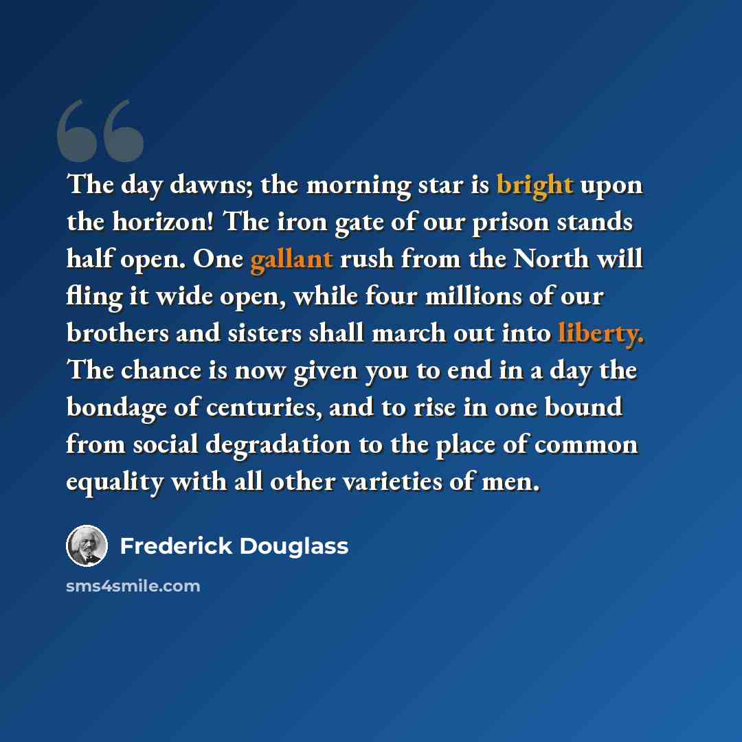 “The day dawns; the morning star is bright upon the horizon! The iron gate of our prison stands half open. One gallant rush from the North will fling it wide open, while four millions of our brothers and sisters shall march out into liberty. The chance is now given you to end in a day the bondage…” quote by Frederick Douglass