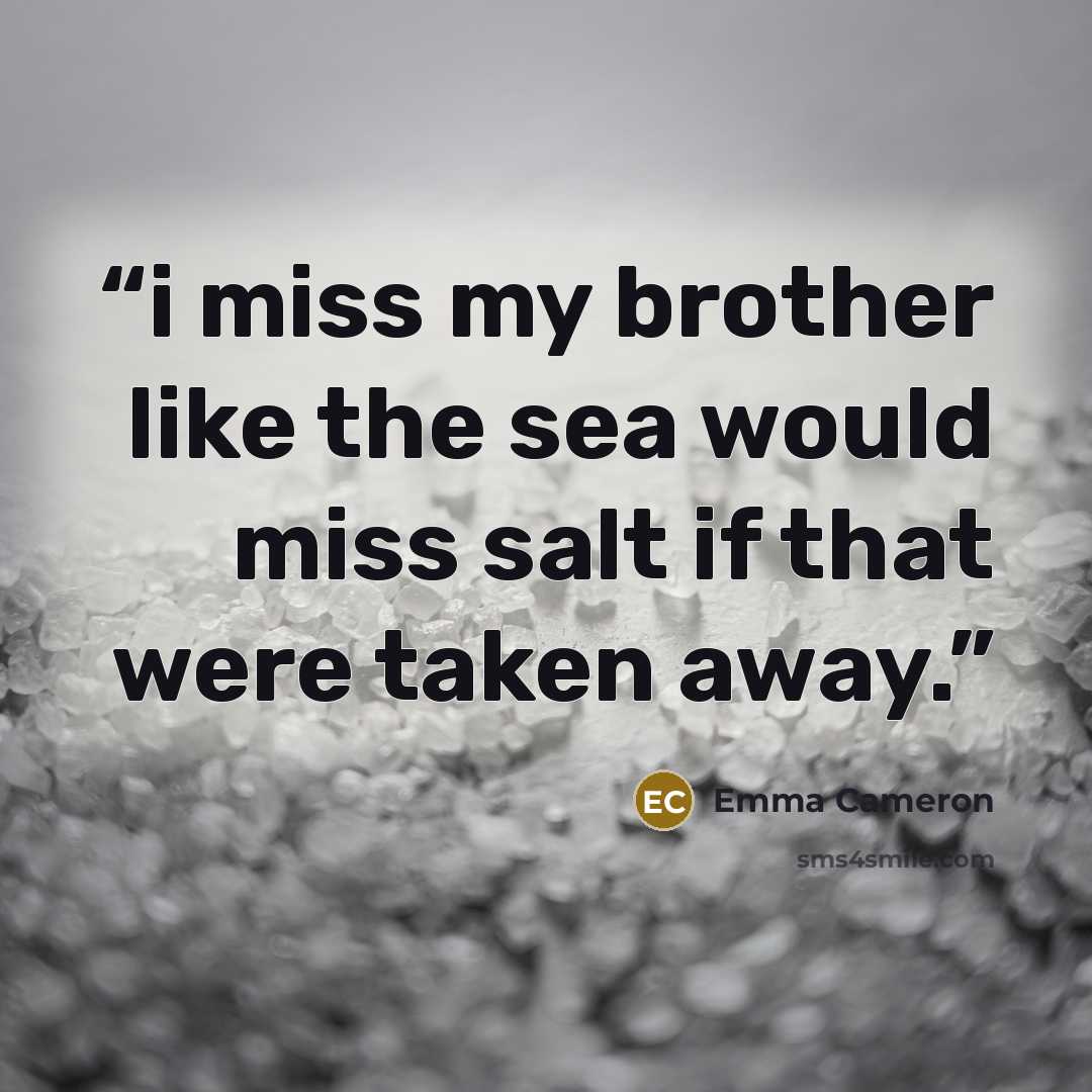 “i miss my brother like the sea would miss salt if that were taken away.” quote by Emma Cameron