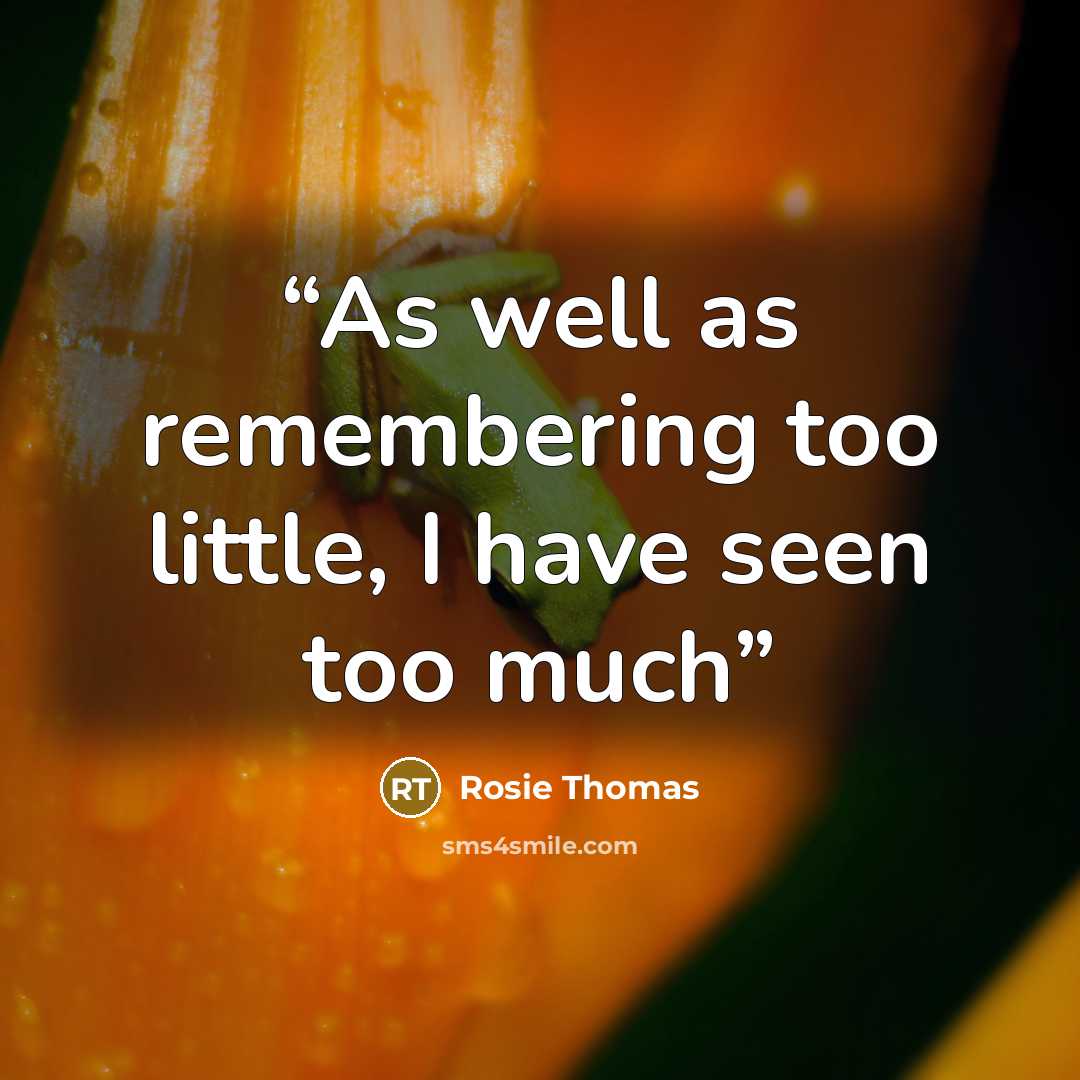 “As well as remembering too little, I have seen too much” quote by Rosie Thomas