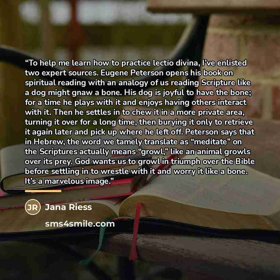 “To help me learn how to practice lectio divina, I’ve enlisted two expert sources. Eugene Peterson opens his book on spiritual reading with an analogy of us reading Scripture like a dog might gnaw a bone. His dog is joyful to have the bone; for a time he plays with it and enjoys having others…” quote by Jana Riess