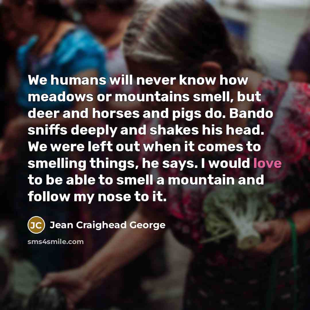 “We humans will never know how meadows or mountains smell, but deer and horses and pigs do. Bando sniffs deeply and shakes his head. We were left out when it comes to smelling things, he says. I would love to be able to smell a mountain and follow my nose to it.” quote by Jean Craighead George