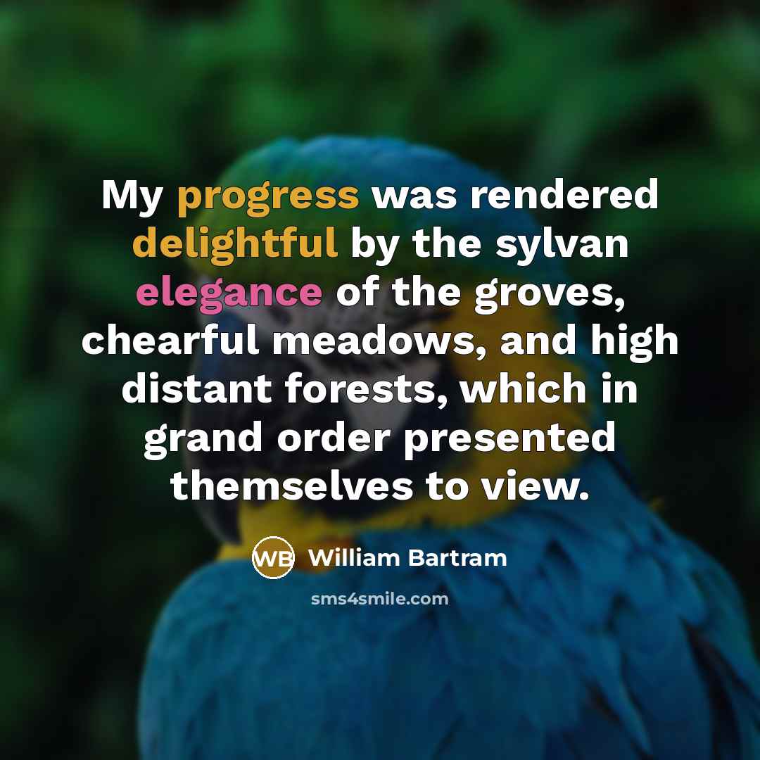“My progress was rendered delightful by the sylvan elegance of the groves, chearful meadows, and high distant forests, which in grand order presented themselves to view.” quote by William Bartram