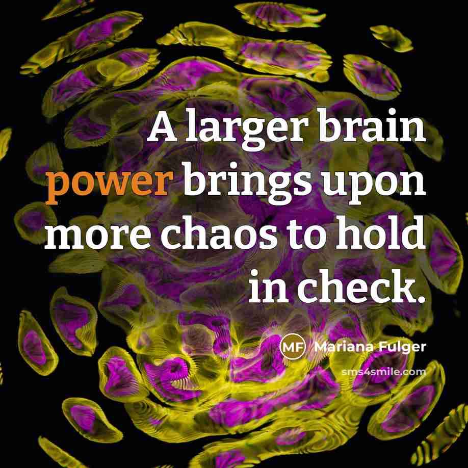 “A larger brain power brings upon more chaos to hold in check.” quote by Mariana Fulger