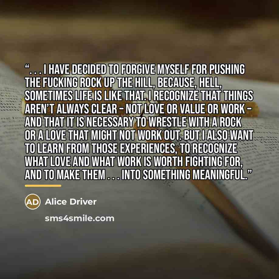 “. . . I have decided to forgive myself for pushing the fucking rock up the hill, because, hell, sometimes life is like that. I recognize that things aren’t always clear – not love or value or work – and that it is necessary to wrestle with a rock or a love that might not work out. But I also want…” quote by Alice Driver