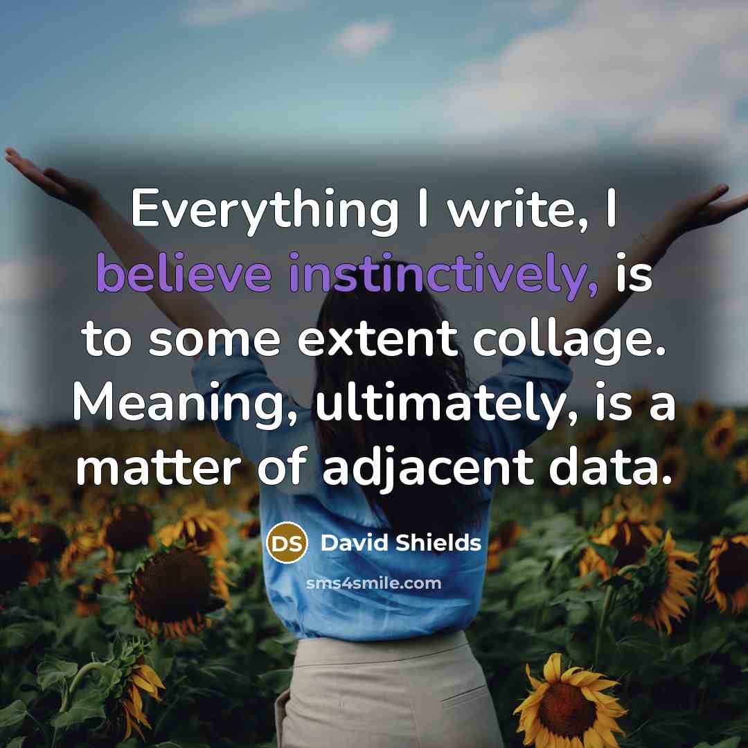 “Everything I write, I believe instinctively, is to some extent collage. Meaning, ultimately, is a matter of adjacent data.” quote by David Shields