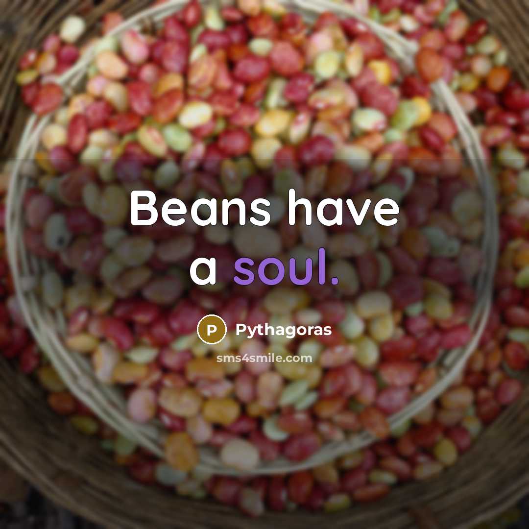 “Beans have a soul.” quote by Pythagoras