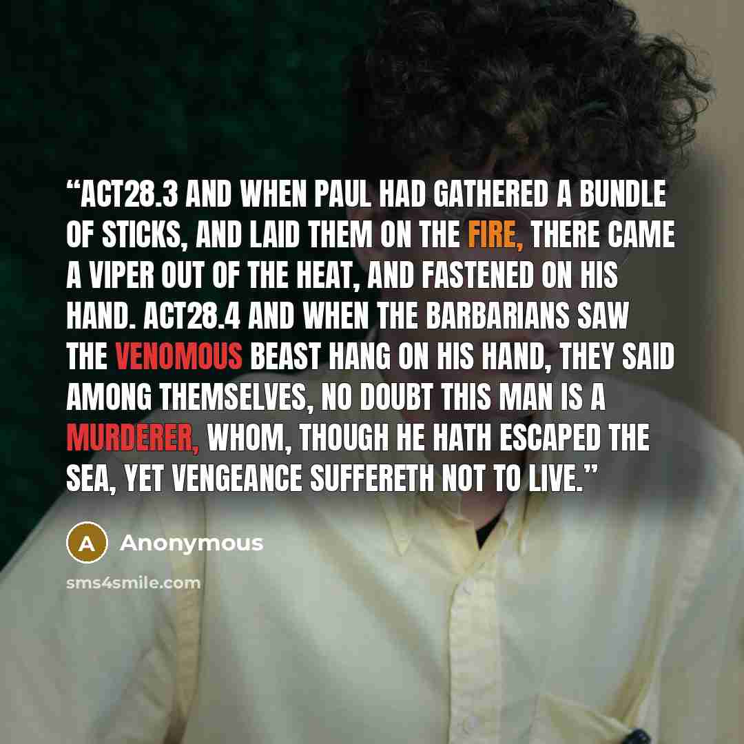 “ACT28.3 And when Paul had gathered a bundle of sticks, and laid them on the fire, there came a viper out of the heat, and fastened on his hand. ACT28.4 And when the barbarians saw the venomous beast hang on his hand, they said among themselves, No doubt this man is a murderer, whom, though he hath…” quote by Anonymous