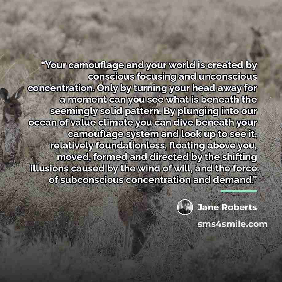 “Your camouflage and your world is created by conscious focusing and unconscious concentration. Only by turning your head away for a moment can you see what is beneath the seemingly solid pattern. By plunging into our ocean of value climate you can dive beneath your camouflage system and look up to…” quote by Jane Roberts