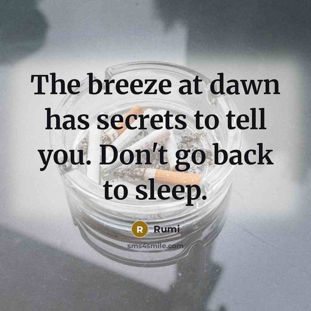 “The breeze at dawn has secrets to tell you. Don't go back to sleep.” quote by Rumi