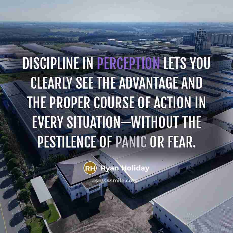 “Discipline in perception lets you clearly see the advantage and the proper course of action in every situation—without the pestilence of panic or fear.” quote by Ryan Holiday